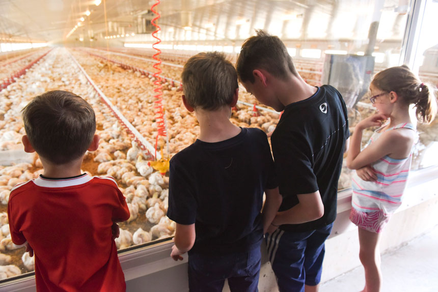 Image representing open farm sunday