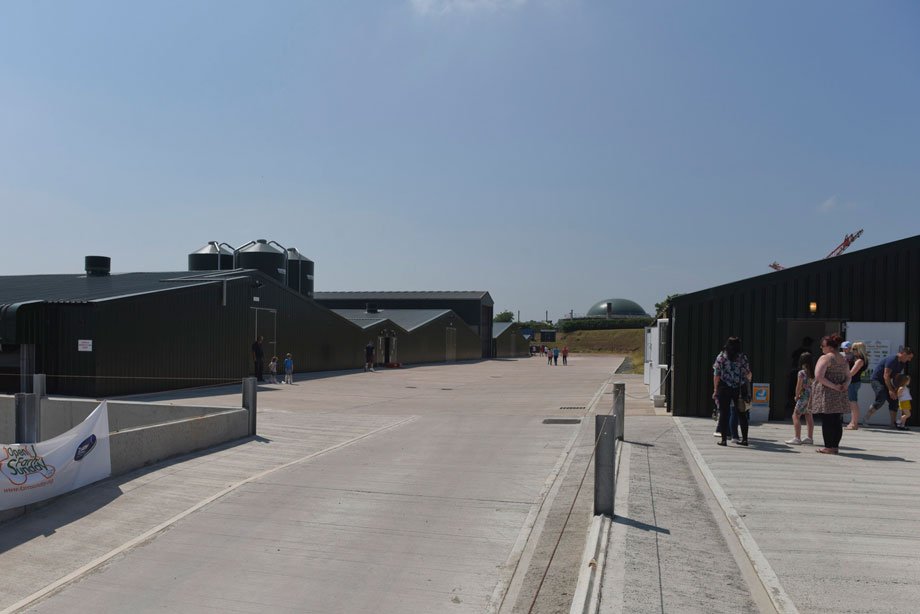 Farm open day Image