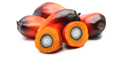 Image to represent Sustainable Palm Oil