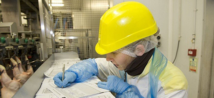 Image to represent Audit Results