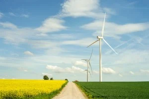 Image to represent sustainability